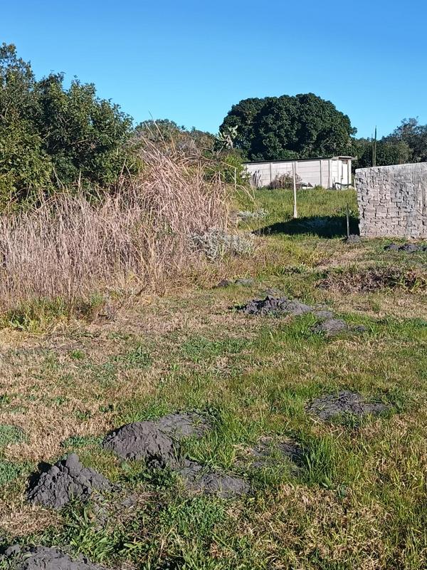 0 Bedroom Property for Sale in Albertinia Western Cape